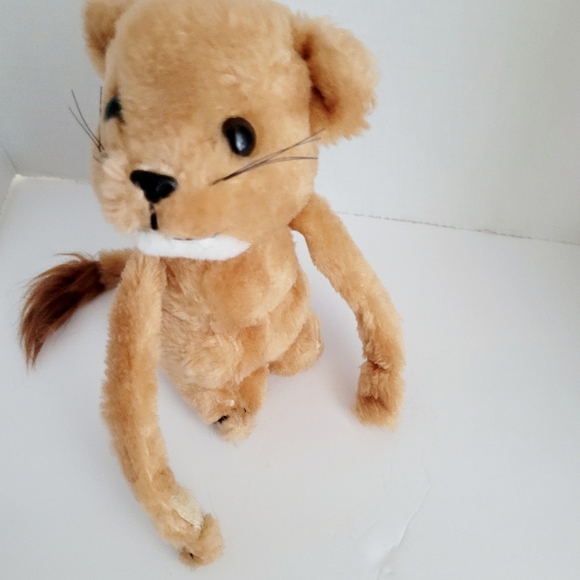 📌NA - Picture 6 of 12